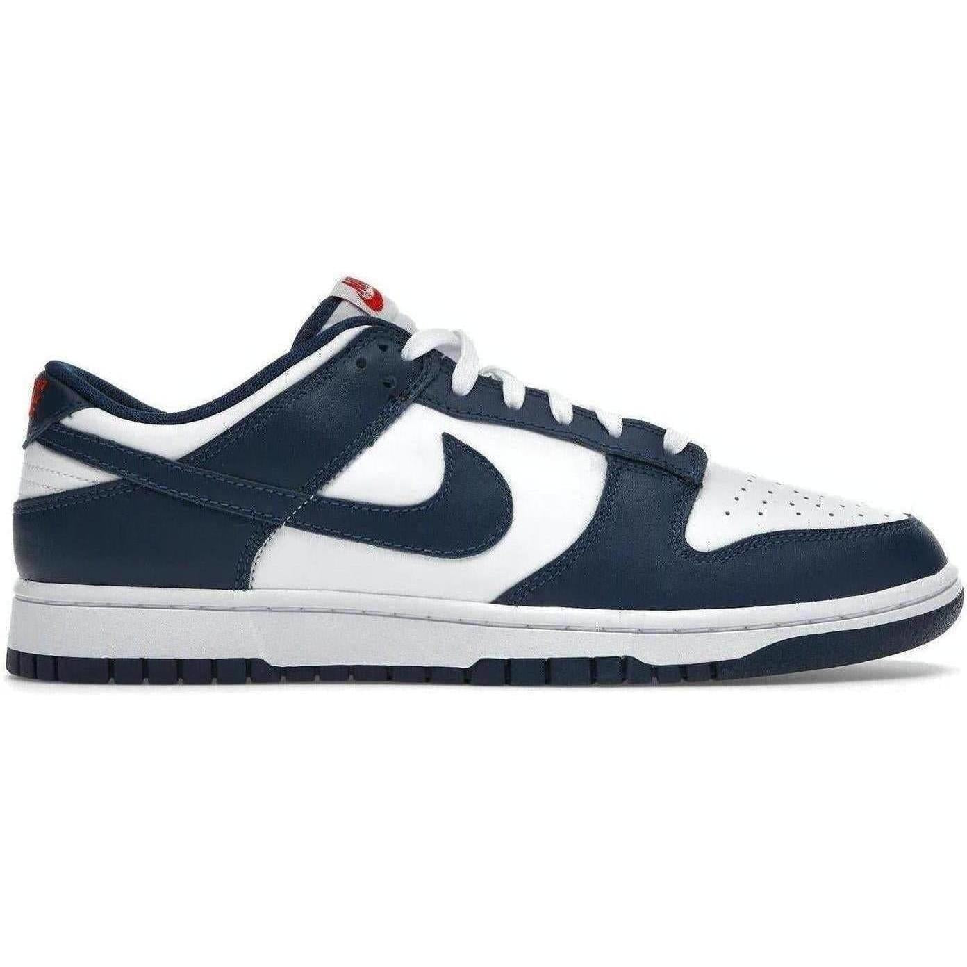 Nike Dunk Low Valerian Blue