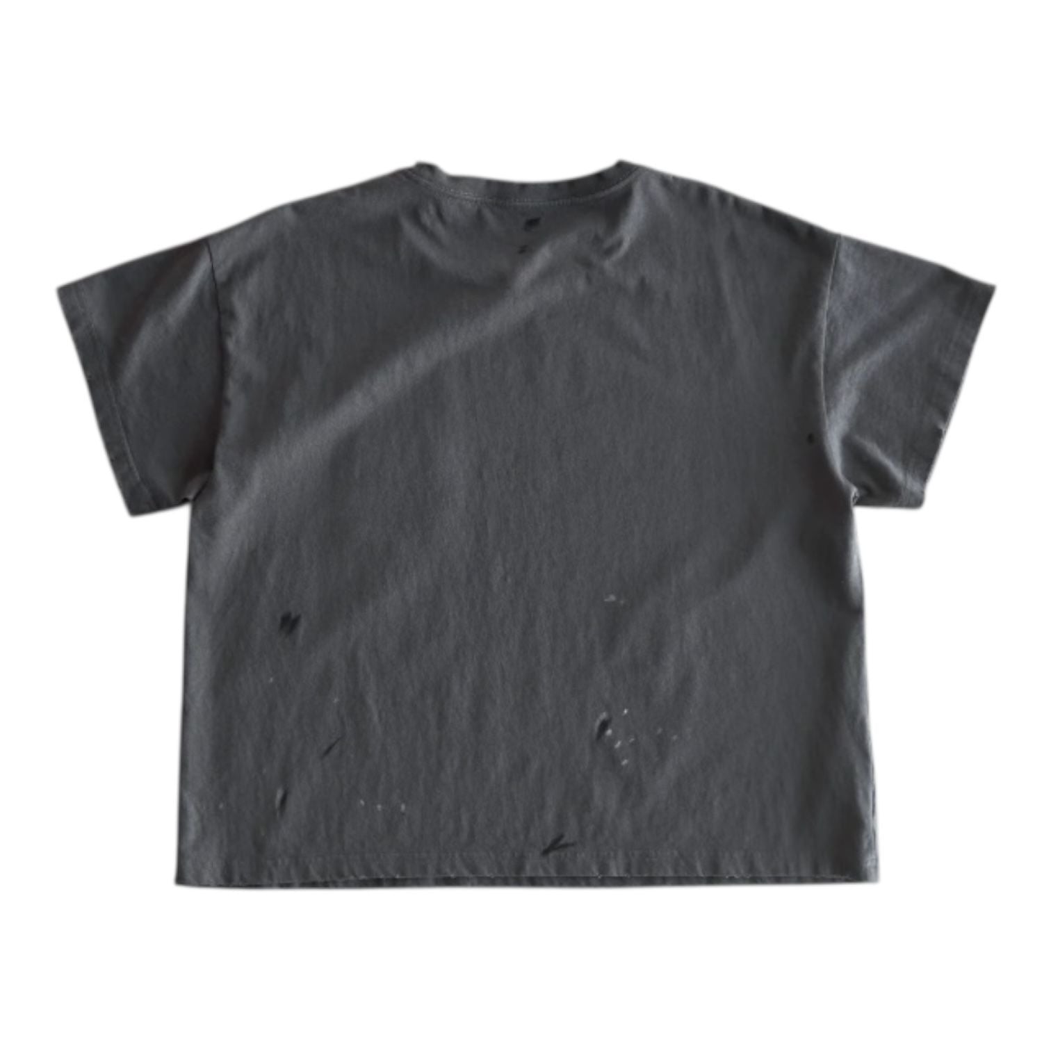 Bravest Studios Grey Carton Vintage T-Shirt Grey