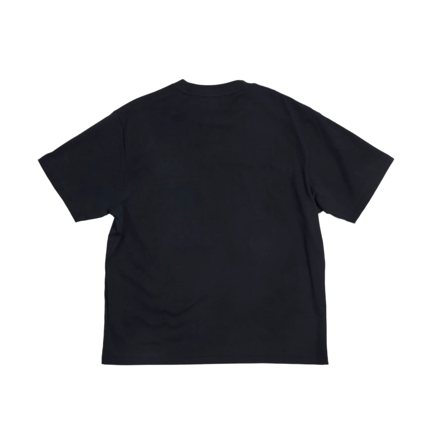Birth Of Royal Child Vintage PSP Tee