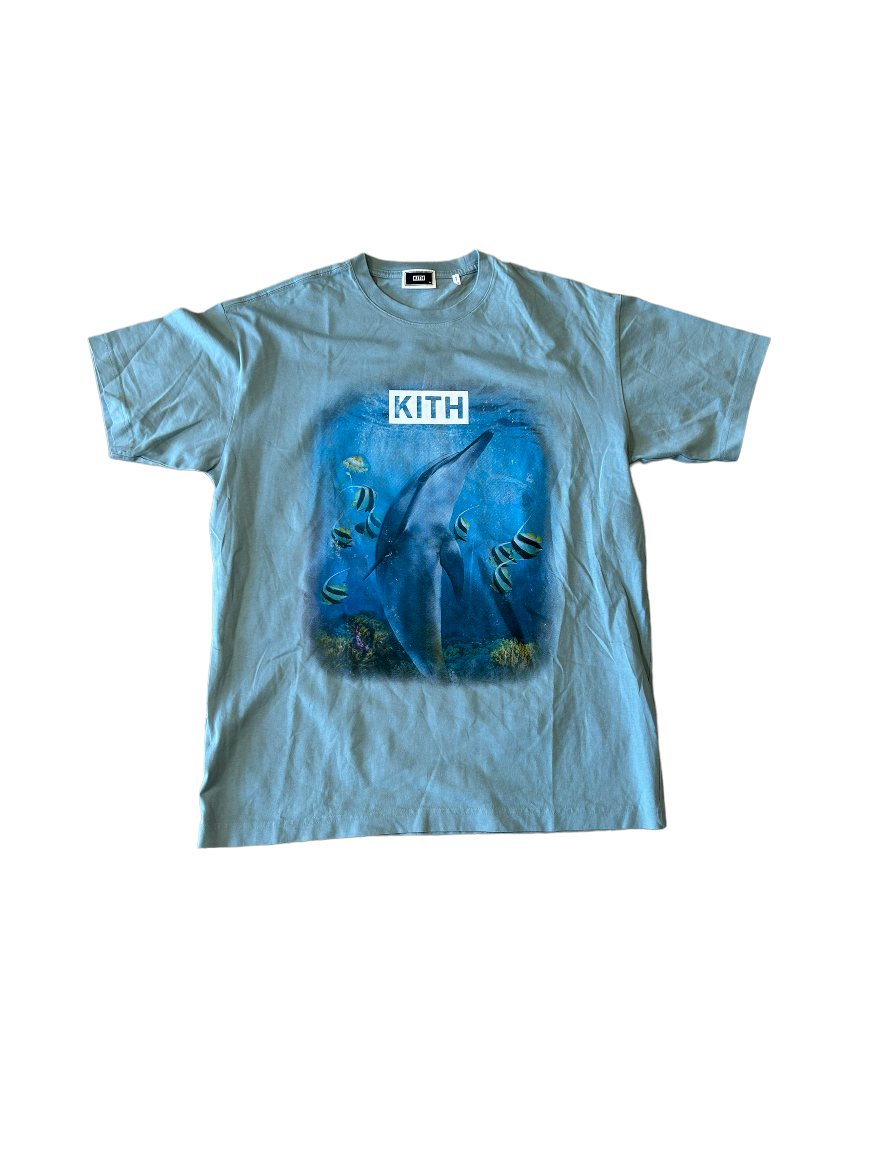 定番高評価 Kith Big Apple Vintage Teeの通販 by 砂糖's shop｜ラクマ