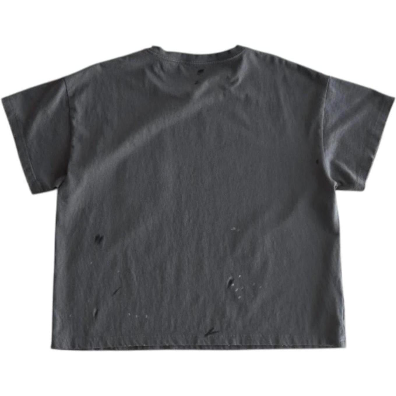 Bravest Studios Grey Carton Vintage T-Shirt Grey