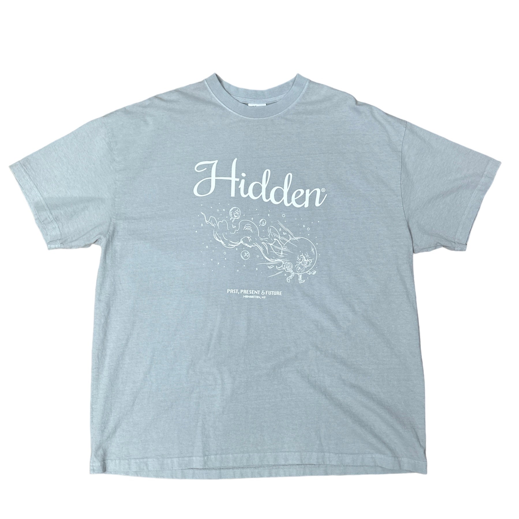 Hidden NY Asteroid T-Shirt Grey