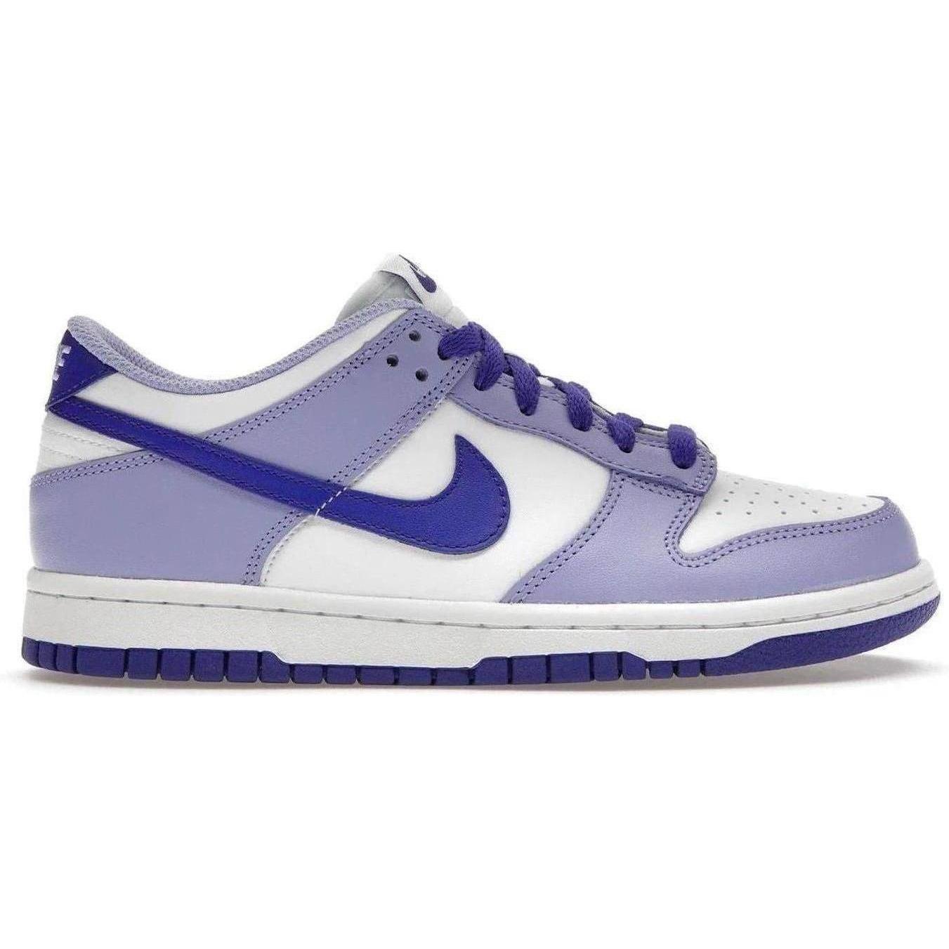 Nike Dunk Low Blueberry (GS)