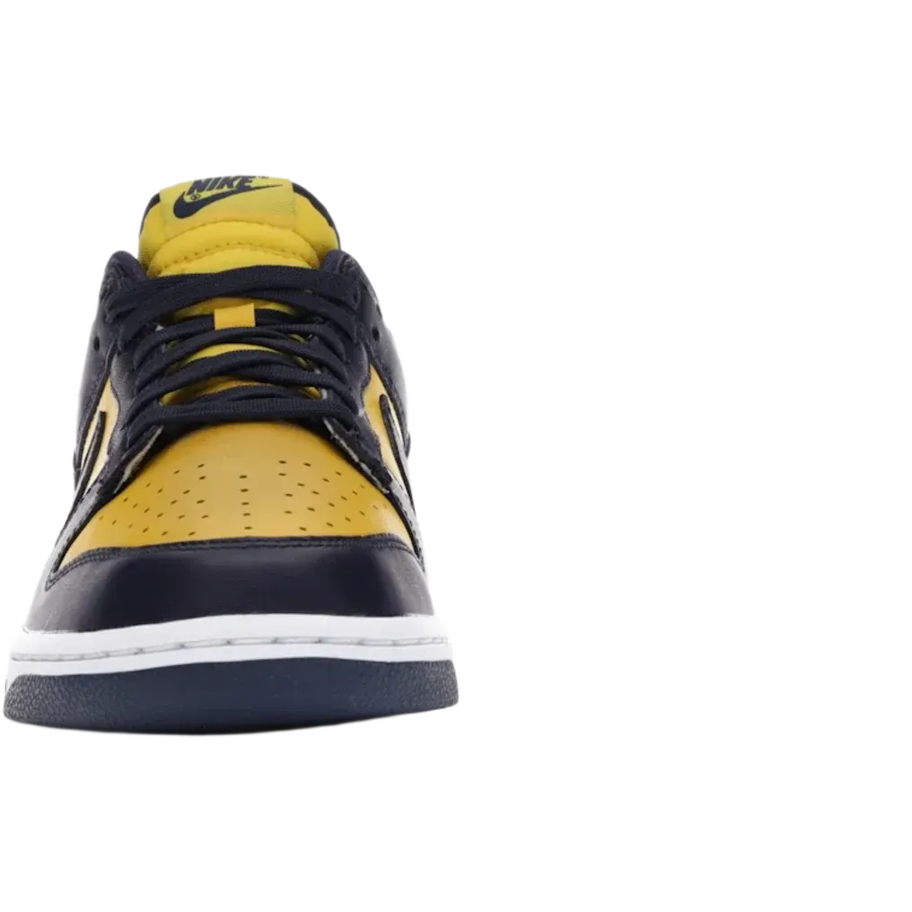 Nike Dunk Low Michigan (2021)