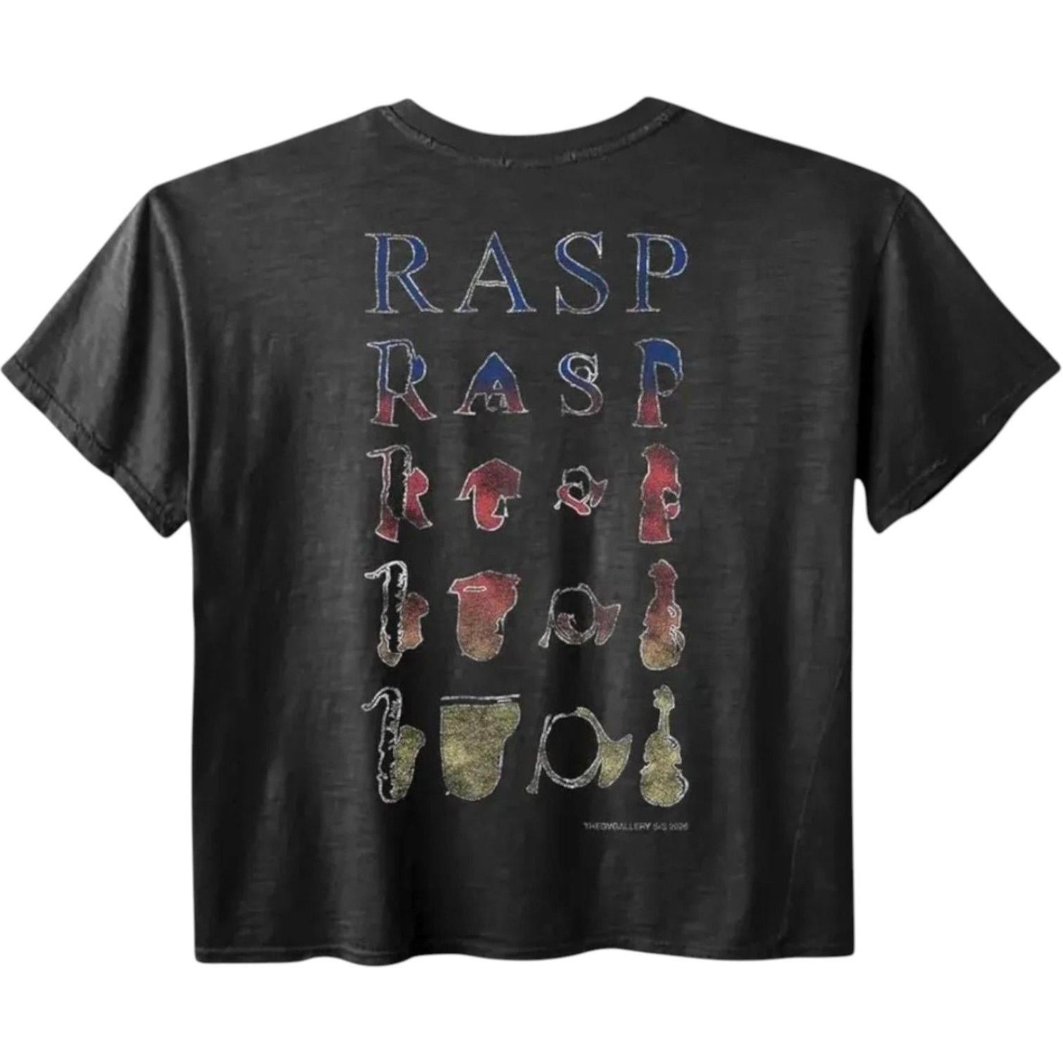 GV Gallery Raspberry Hills Music T-Shirt Black