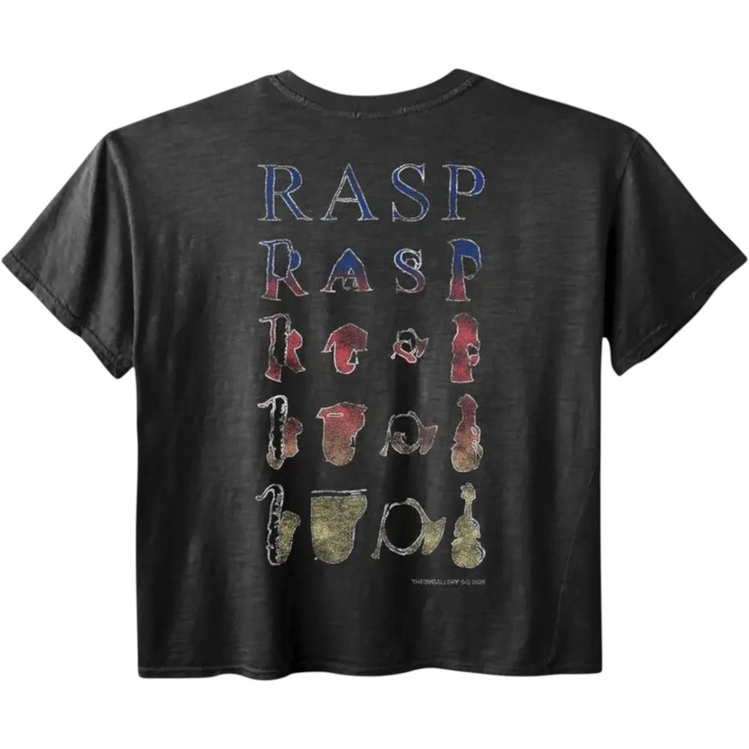 GV Gallery Raspberry Hills Music T-Shirt Black