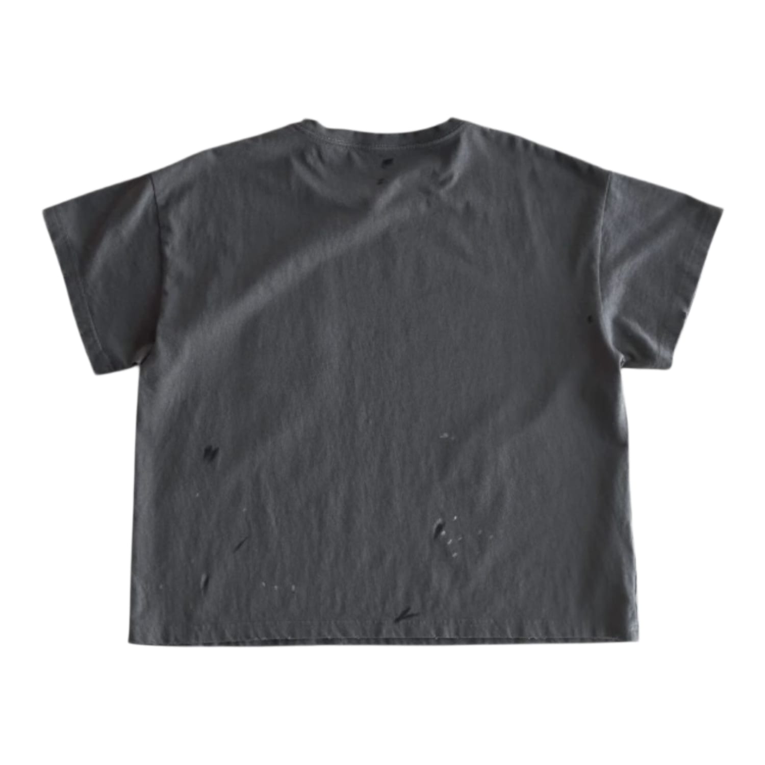 Bravest Studios Grey Carton Vintage T-Shirt Grey