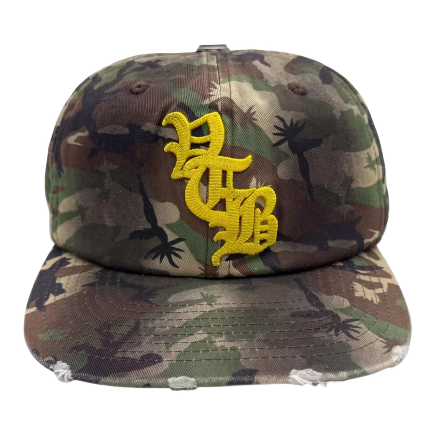 Vertabrae Camo Snapback Hat