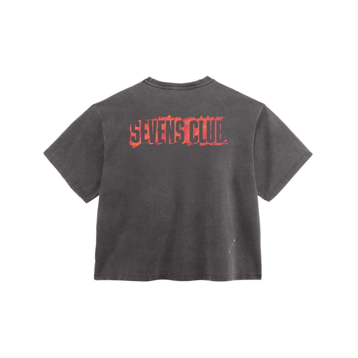 Triple Sevens 2000s T-Shirt