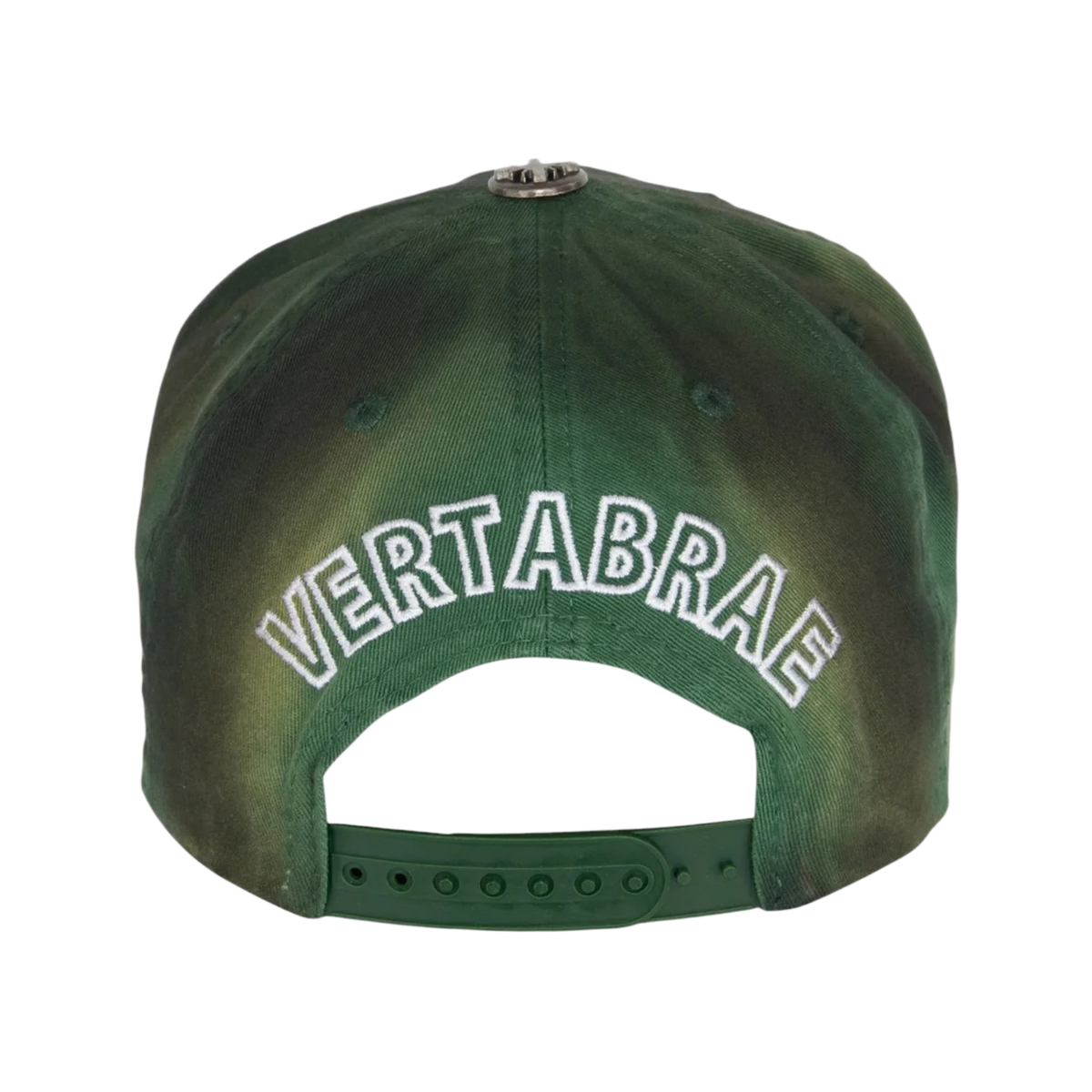 Vertabrae Logo Snapback Green