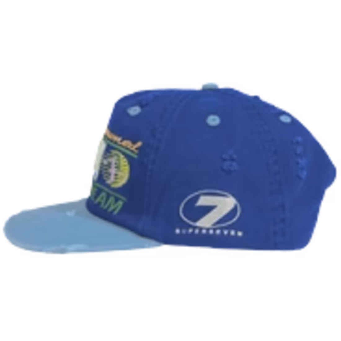 Up7Skate Blue Strip Intl Street Team Hat