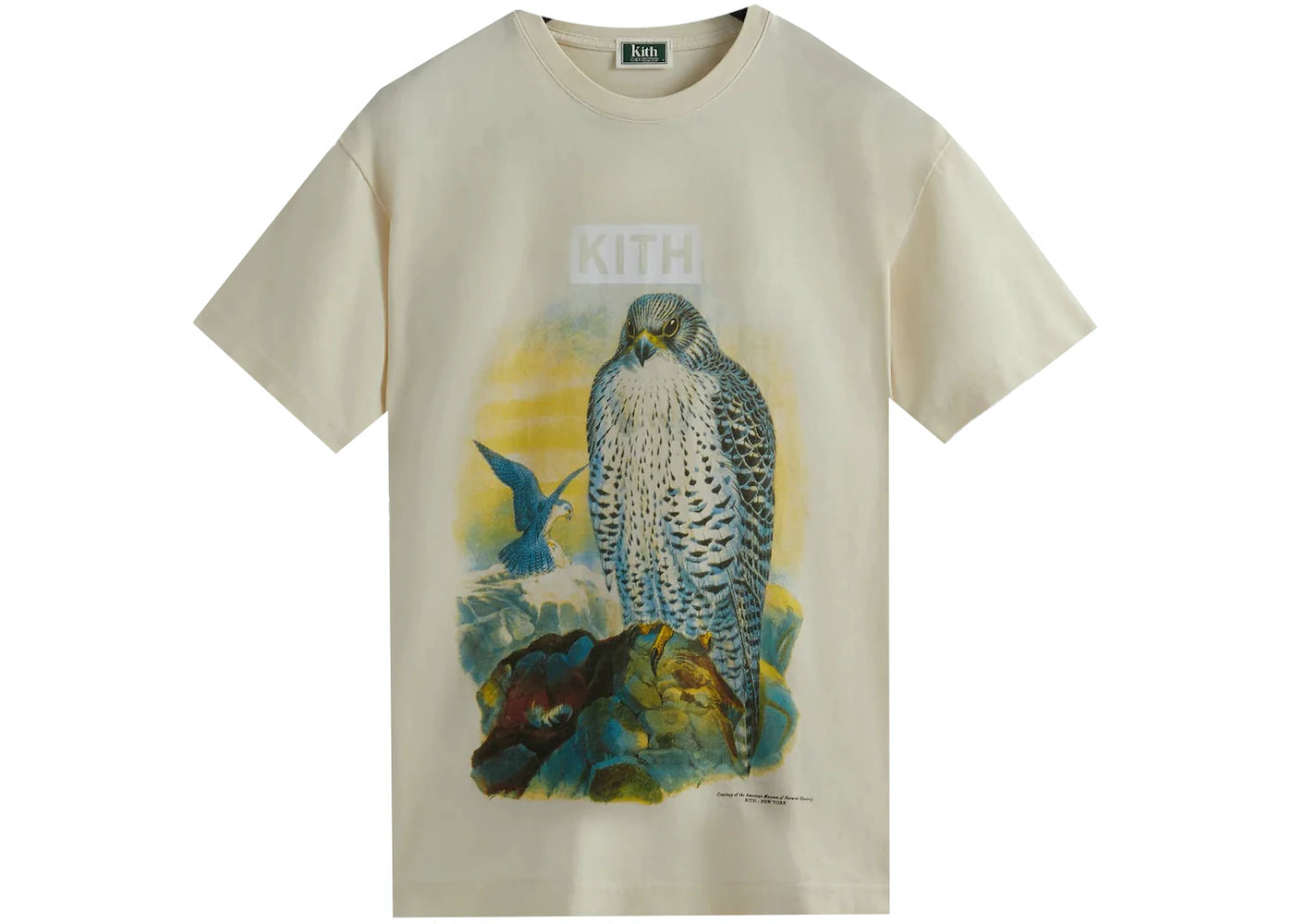 Kith AMNH Falcon Vintage T-Shirt